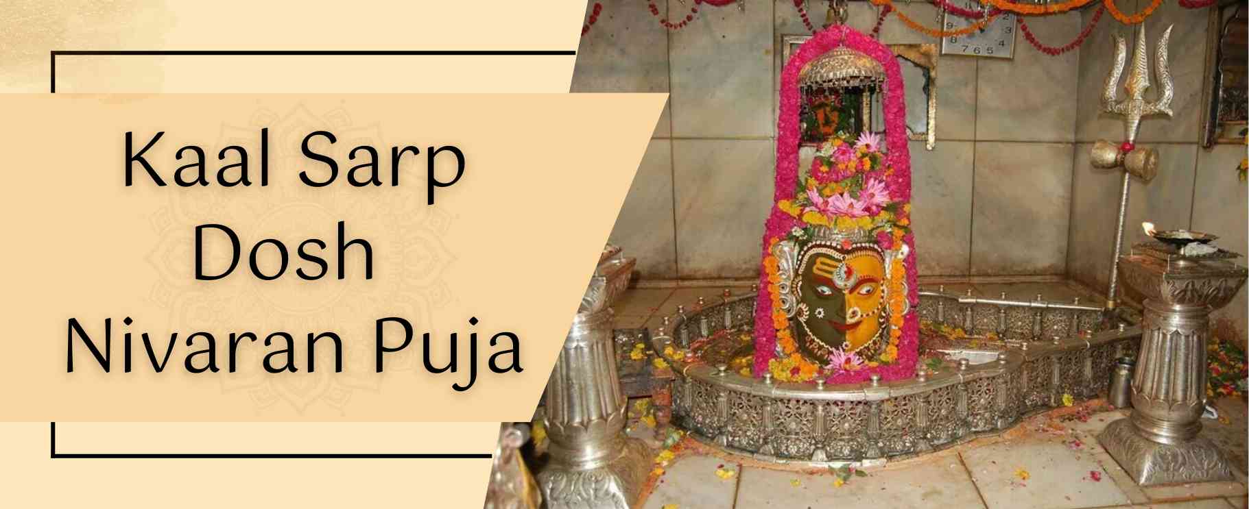 Kaal-Sarp-Dosh-Nivaran-Puja